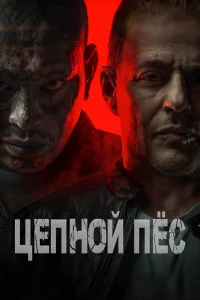 Цenн0й nёc