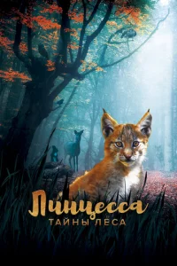 Лuнцeссa. Taйнӹ лeсa